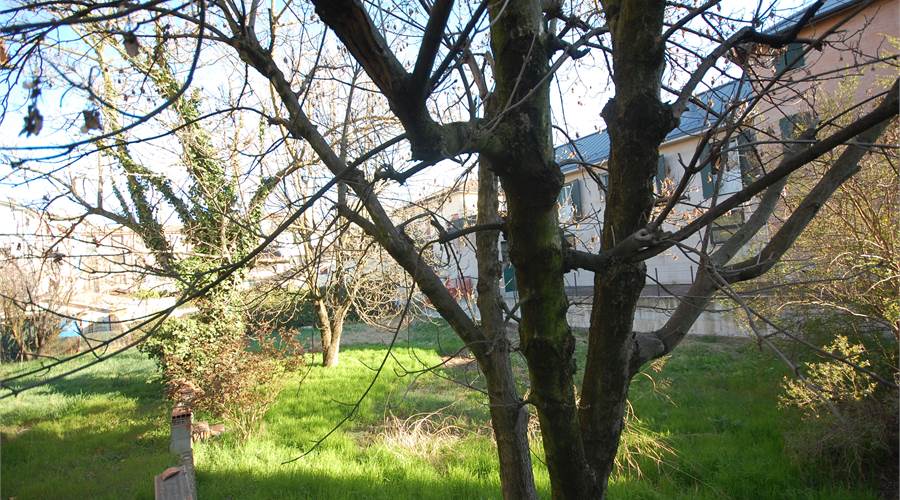 GIARDINO