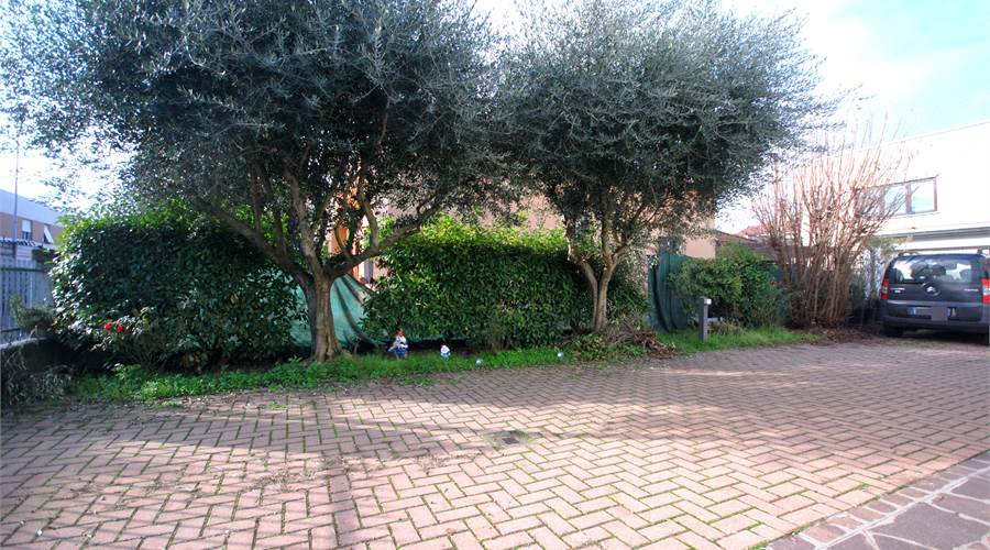 Cortile