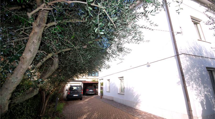 Cortile