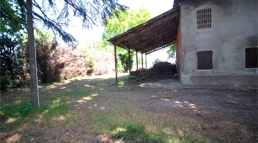 Photo 4