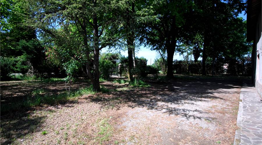 AREA CORTILIVA