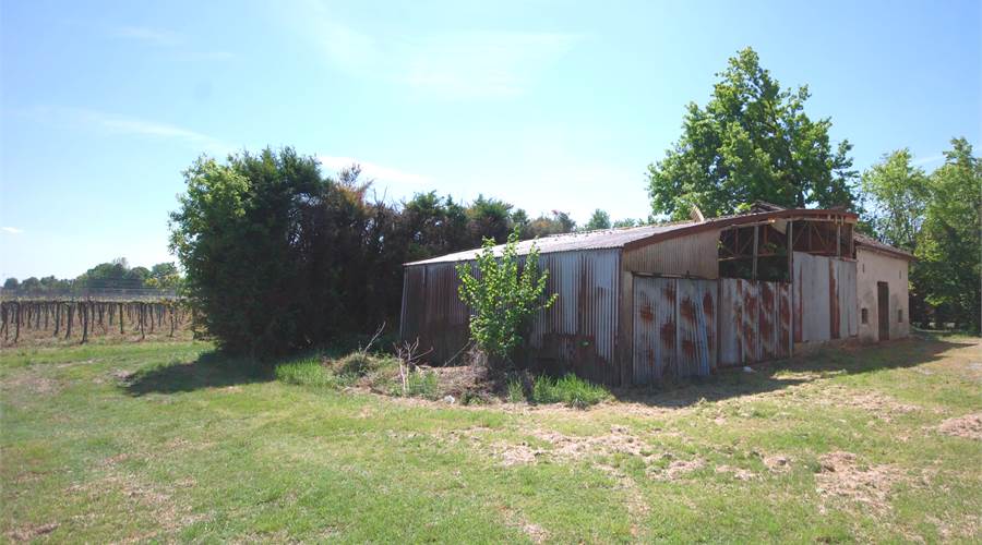 AREA CORTILIVA
