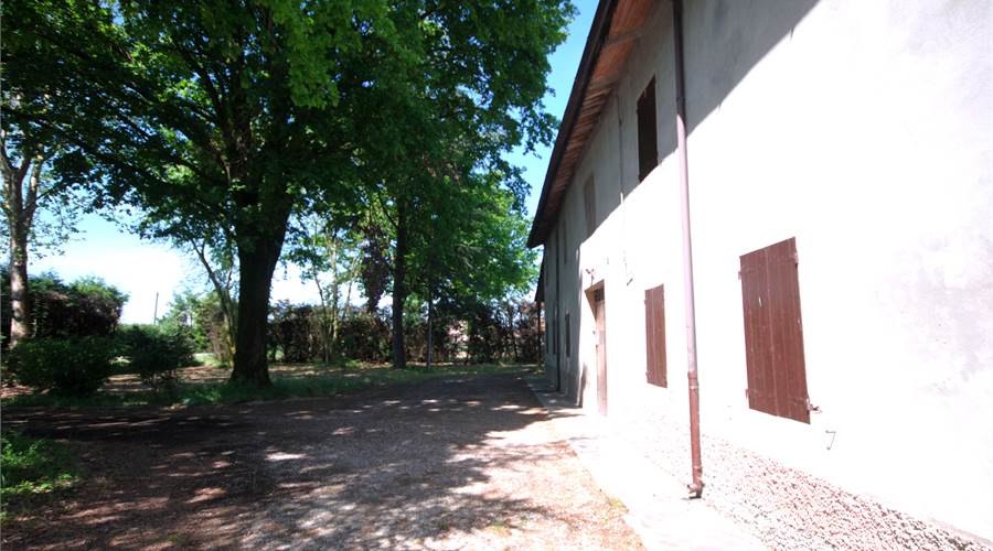 AREA CORTILIVA