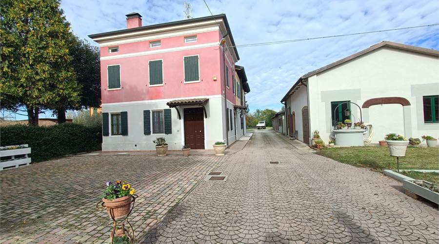 Photo 41