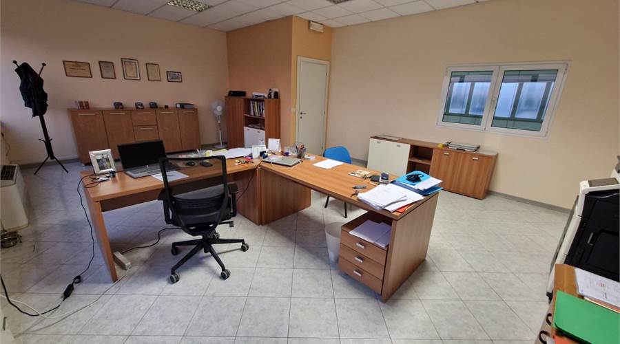 Photo 8